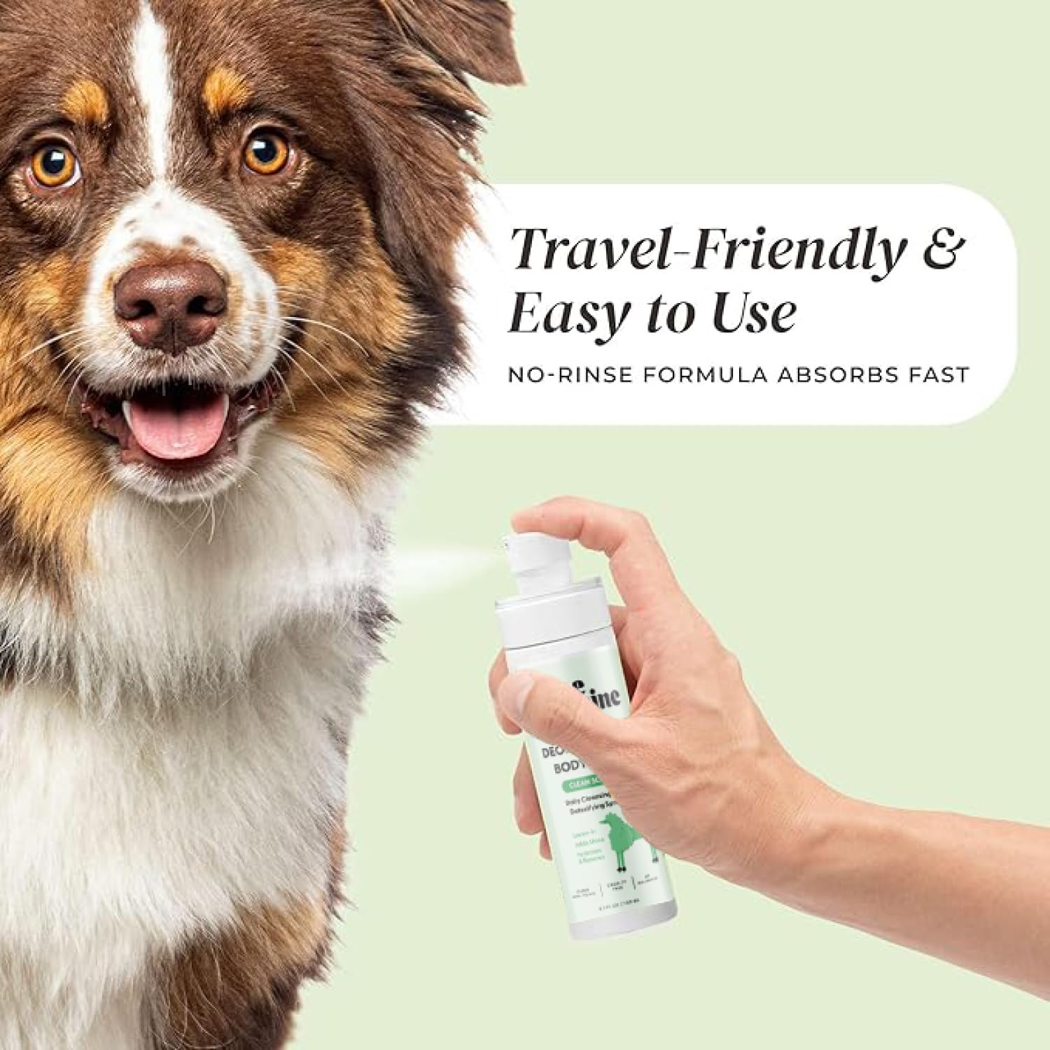 Closeup of aloe and lemongrass ingredients in Divine Canine formula.