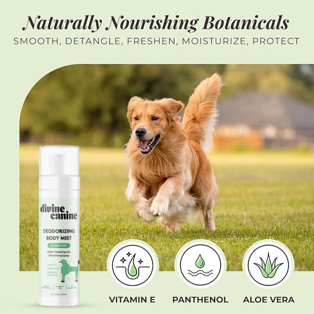 Hand holding Divine Canine spray bottle ready to mist.