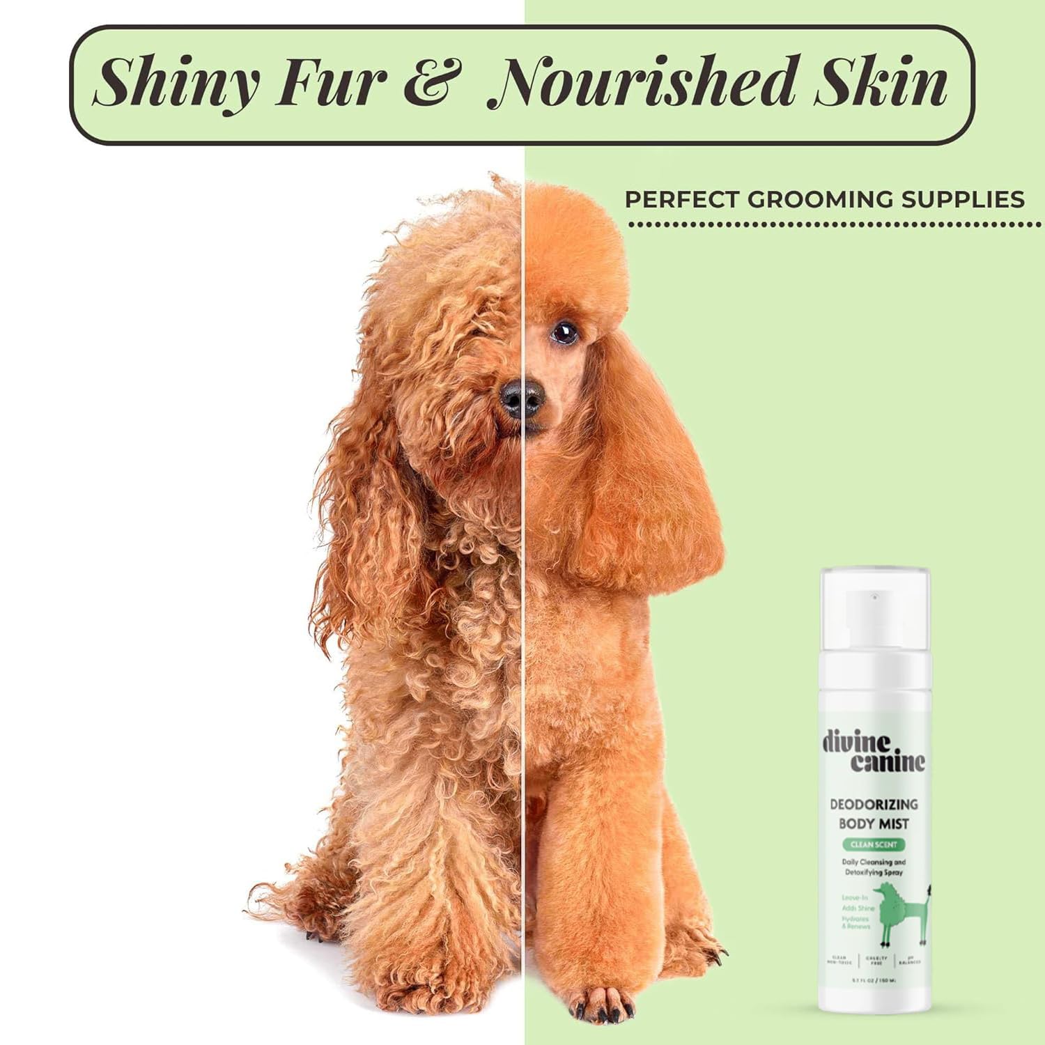 USA-made Divine Canine label closeup with alcohol-free formula.