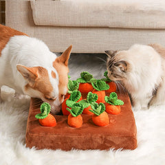 DIYGIFF carrot dog toy removable pads simplify cleaning after play