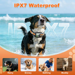 DJNFGQ IPX7 waterproof dog fence highlights rugged outdoor performance.