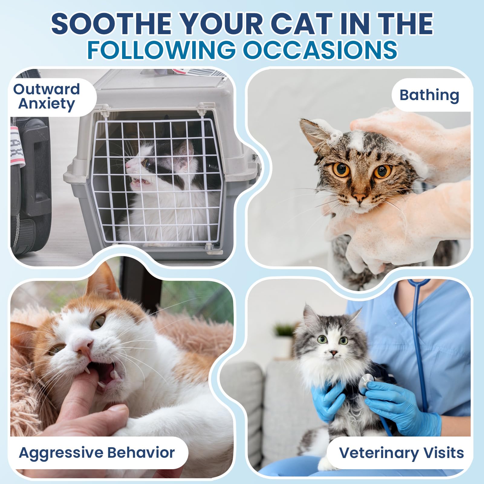 DKFGJRGHSJ cat calming treats after feeding relaxes anxious behavior