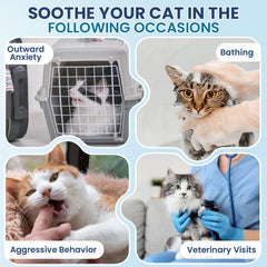DKFGJRGHSJ cat calming treats after feeding relaxes anxious behavior