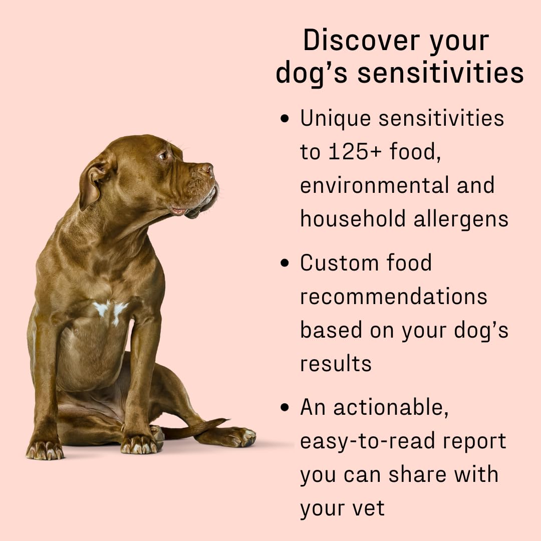 DNA MY DOG allergen analysis covers 120-plus potential triggers.