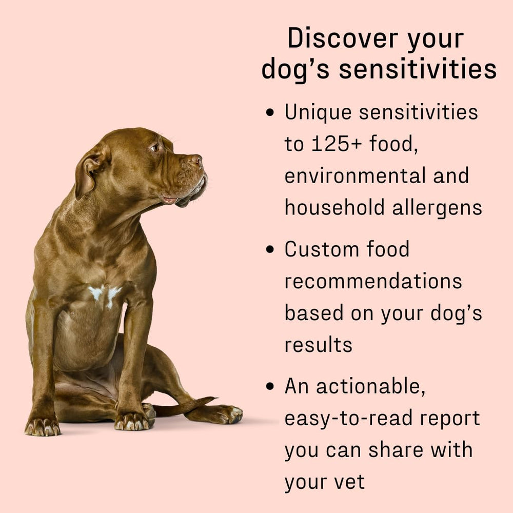DNA MY DOG allergen analysis covers 120-plus potential triggers.