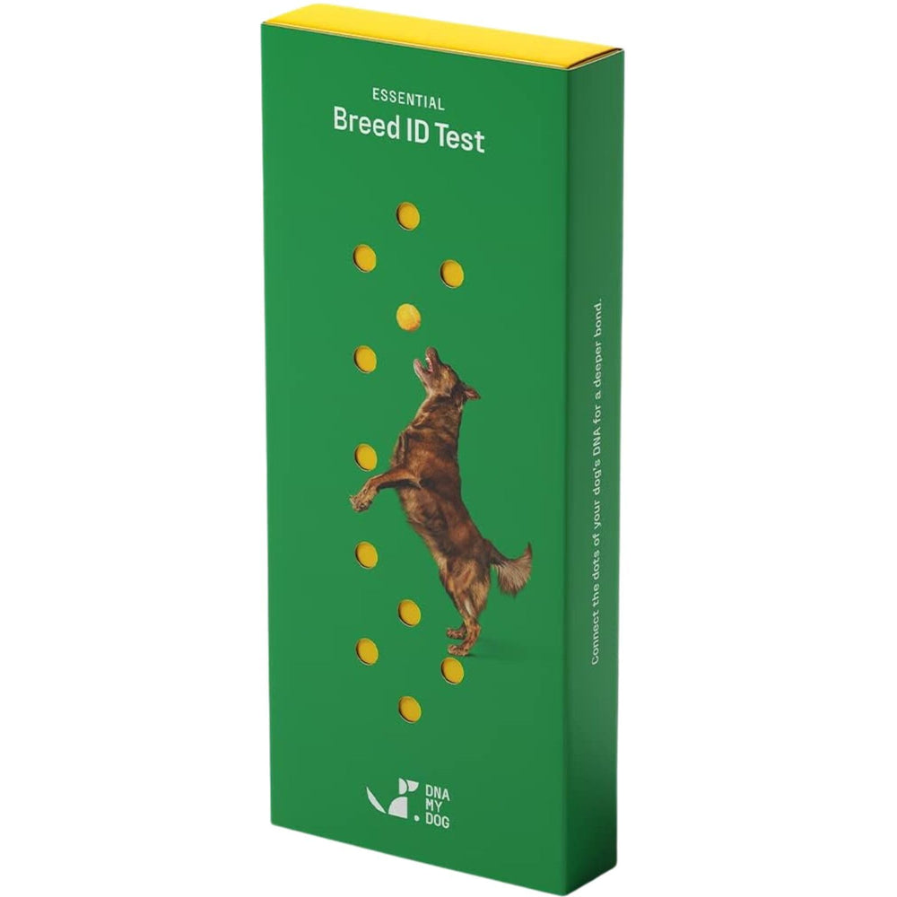 DNA MY DOG cheek swab kit for an at-home breed test.