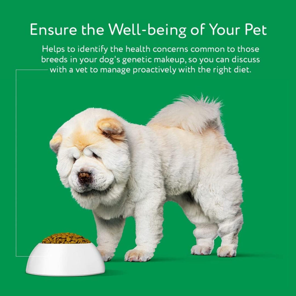 DNA MY DOG responsive customer support for testing help.