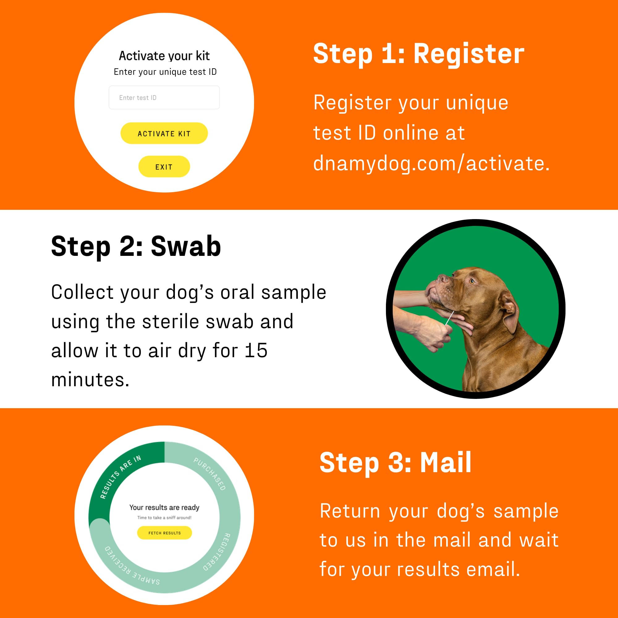 DNA My Dog customer support guides you through the test journey.