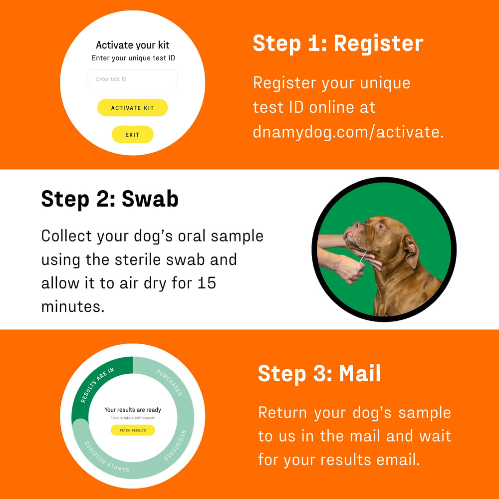 DNA My Dog customer support guides you through the test journey.