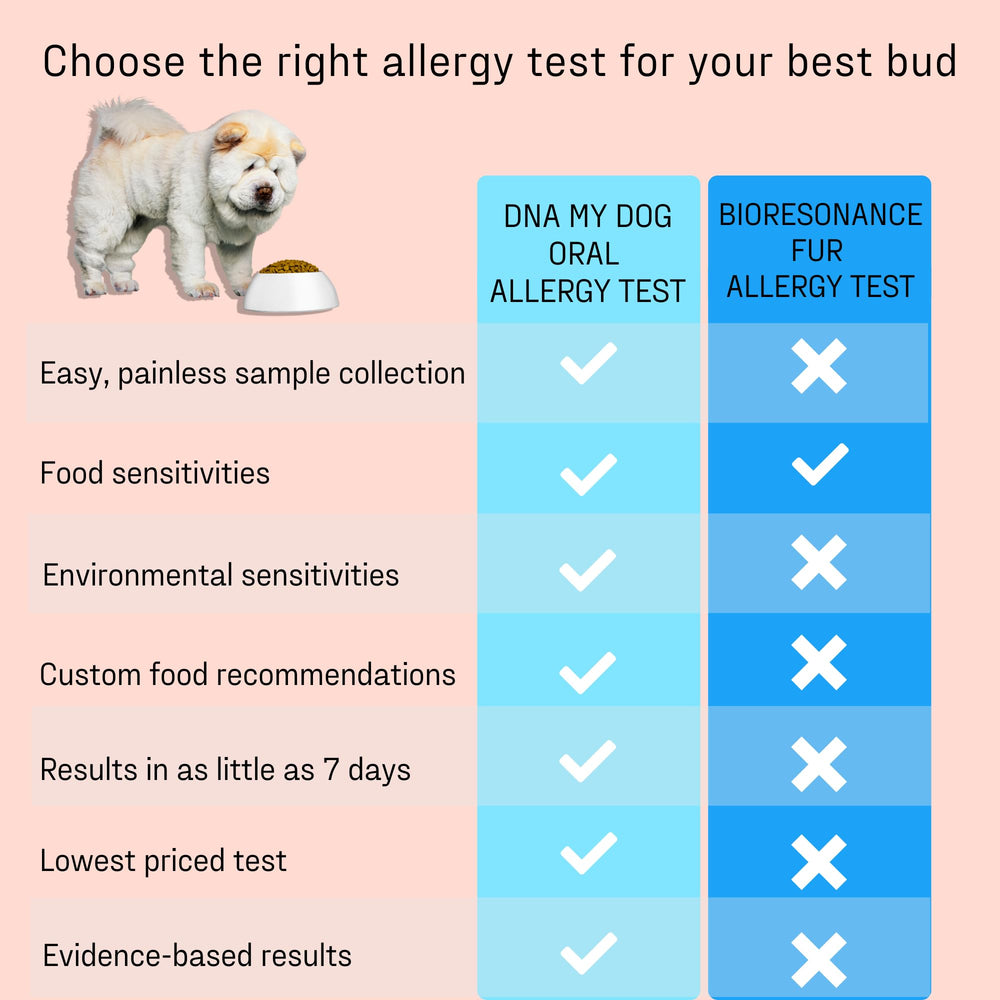 DNA MY DOG ELISA-based technology delivers precise results and robust checks.