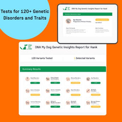 DNA My Dog genetic age report estimates developmental timeline.