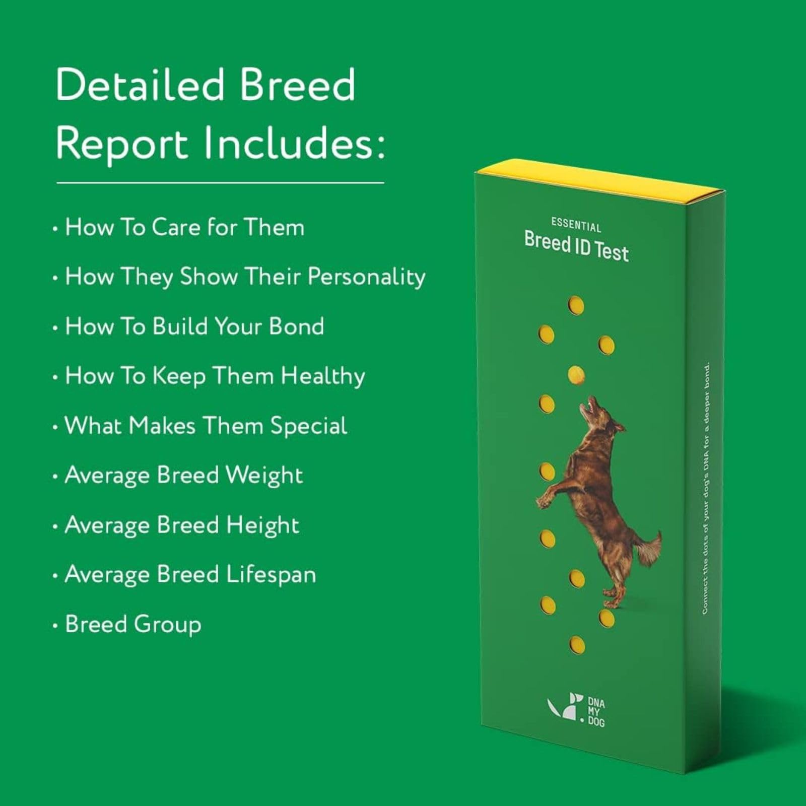 DNA MY DOG health insights report with breed-specific care notes.