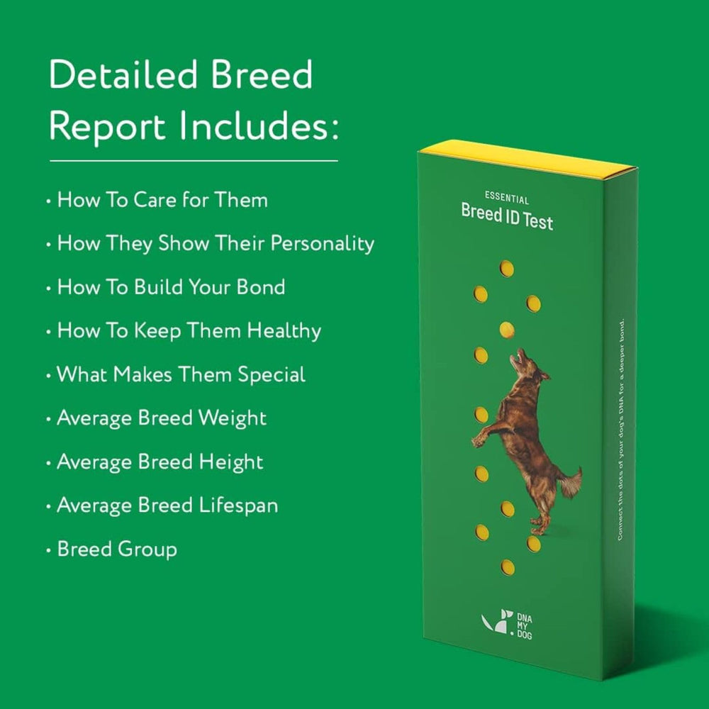 DNA MY DOG health insights report with breed-specific care notes.