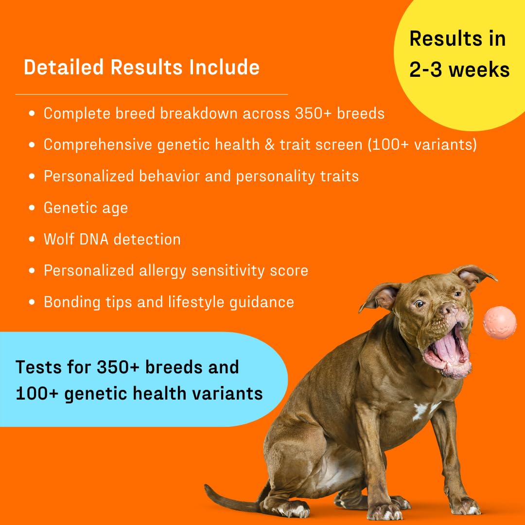 DNA My Dog online results give instant access to your dog’s profile.