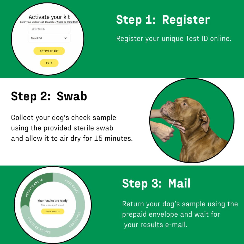 DNA MY DOG online results portal showing breed breakdown.