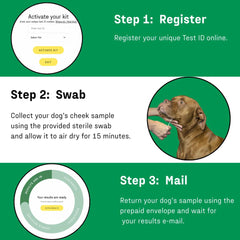 DNA MY DOG online results portal showing breed breakdown.