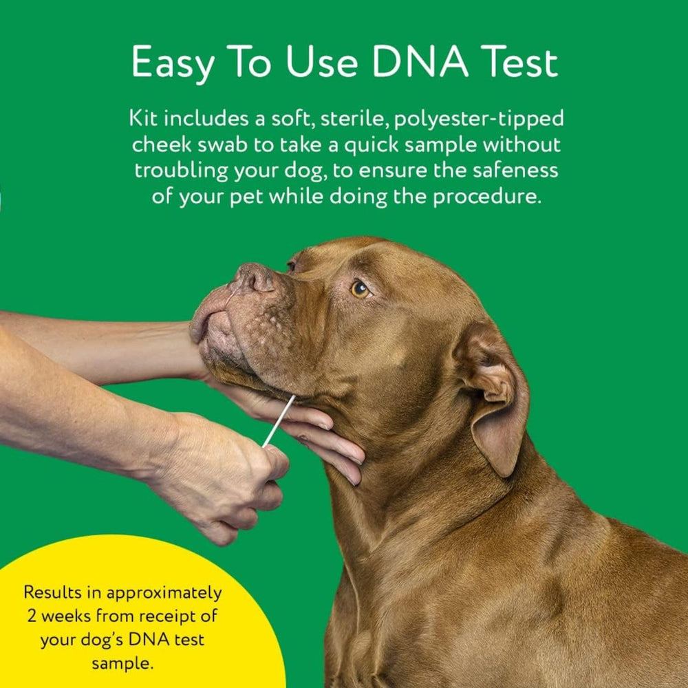 DNA MY DOG training guidance aligned with breed tendencies.