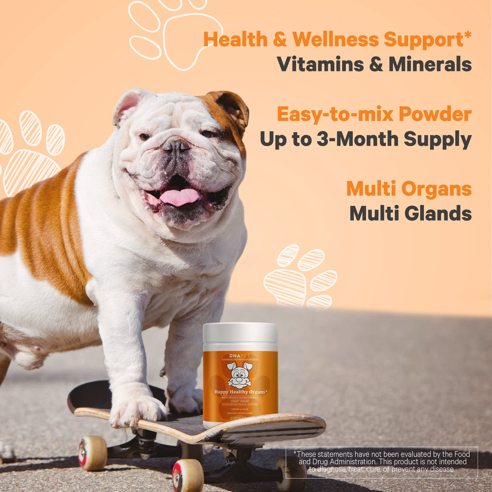 DNA PET Bone Marrow Powder: compact minerals and amino acids for dogs