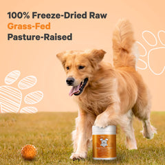 DNA PET Freeze-Dried Spleen Pancreas: easy add-on for varied protein sources