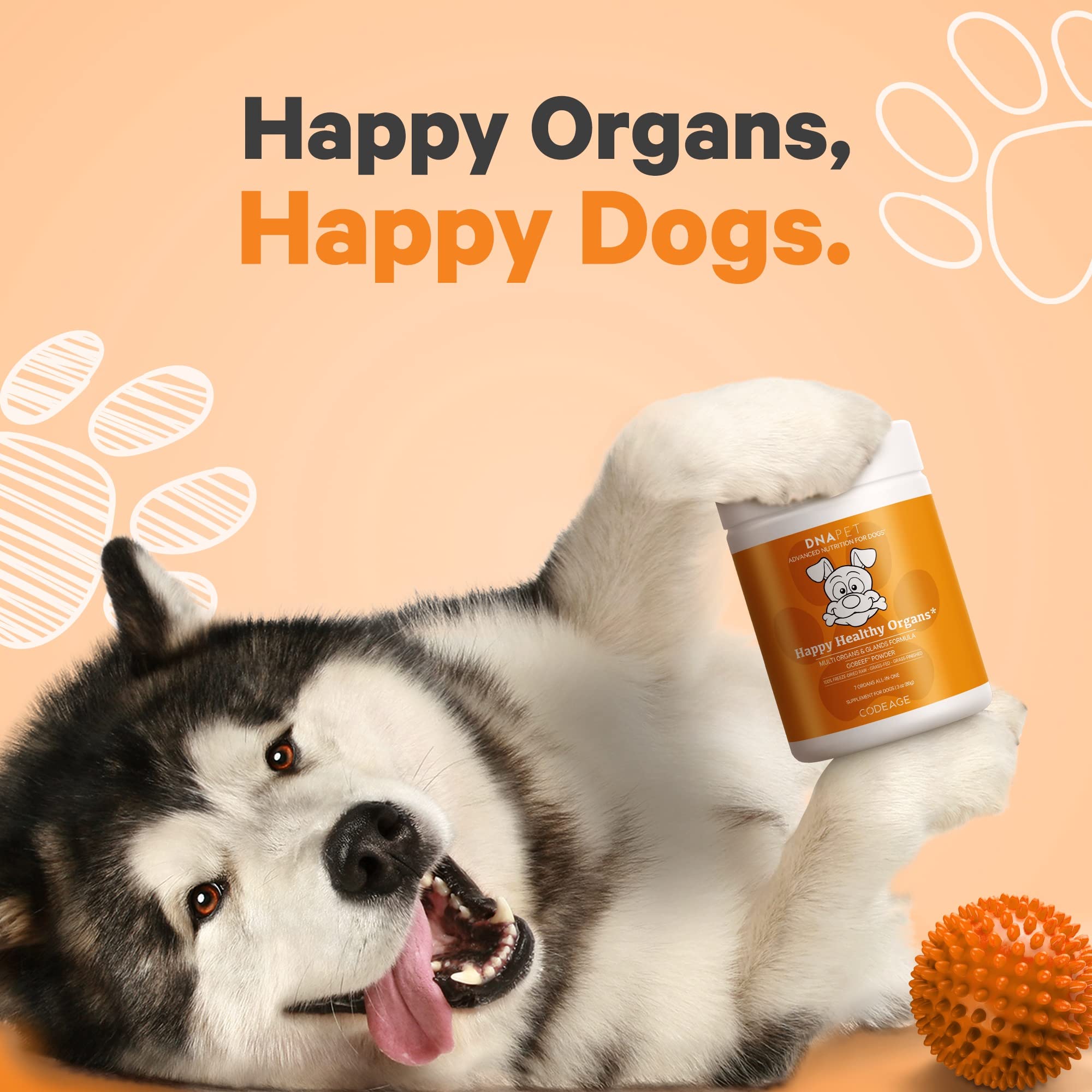 DNA PET Powder for Dogs: simple mix into any dog food