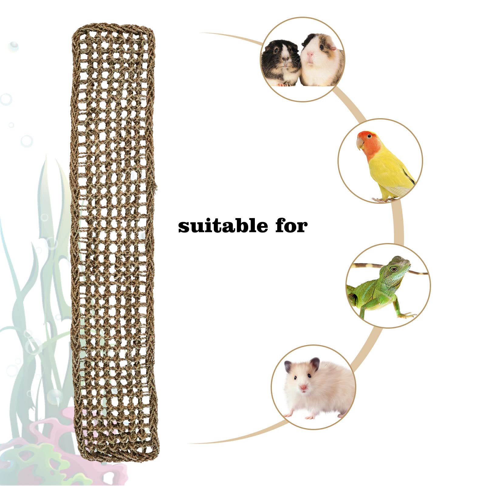 Dnoifne climbing-rope-ladder offers varied climbing play for small animals
