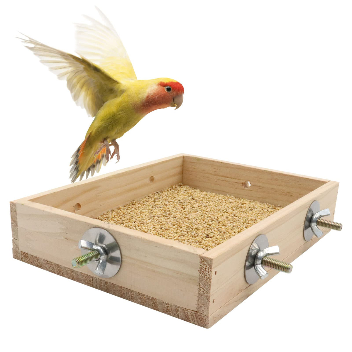 Dnoifne bird feeding cups with wooden perch for easy feeding in small birds.