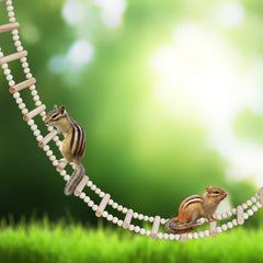 Dnoifne bird ladder bridge round beads for secure climbing