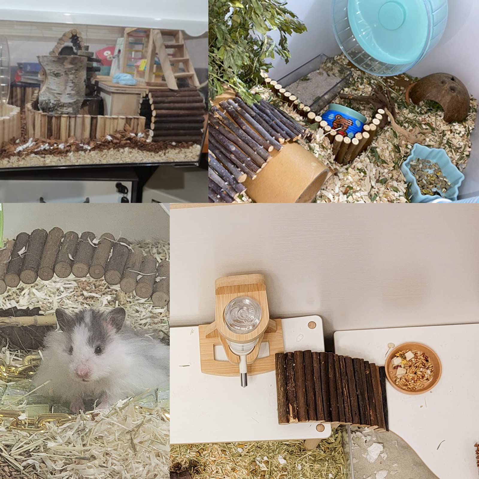 Dnoifne reptile habitat decor adds natural style and enrichment.