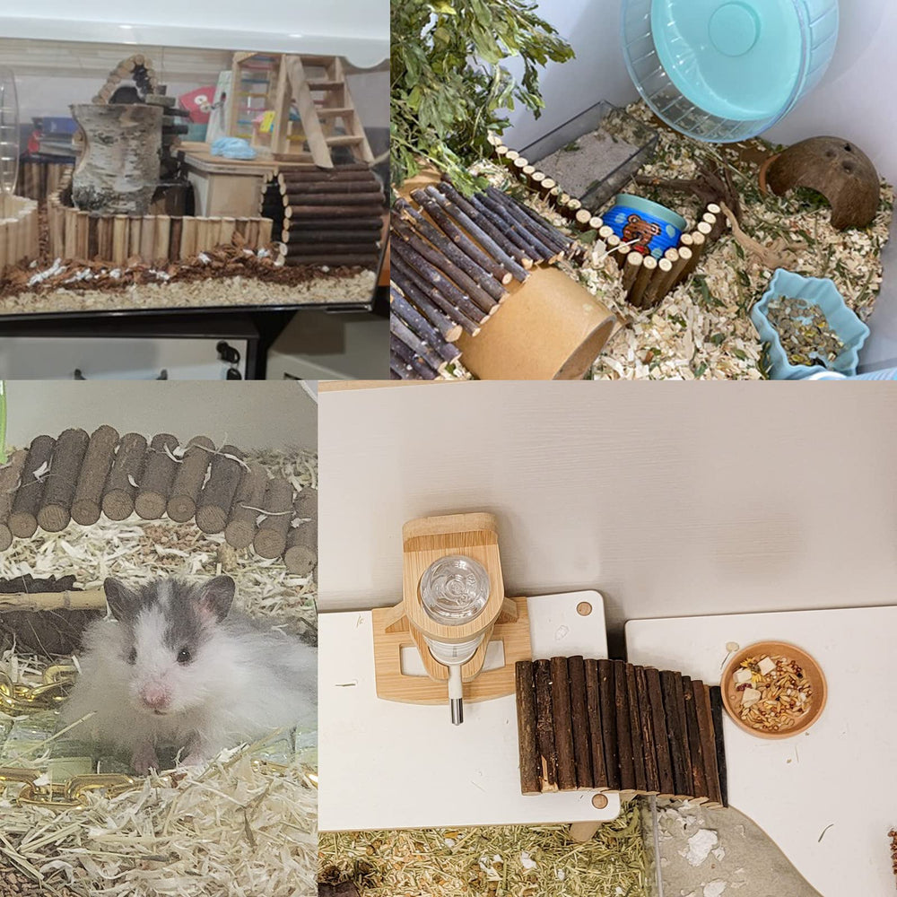 Dnoifne reptile habitat decor adds natural style and enrichment.