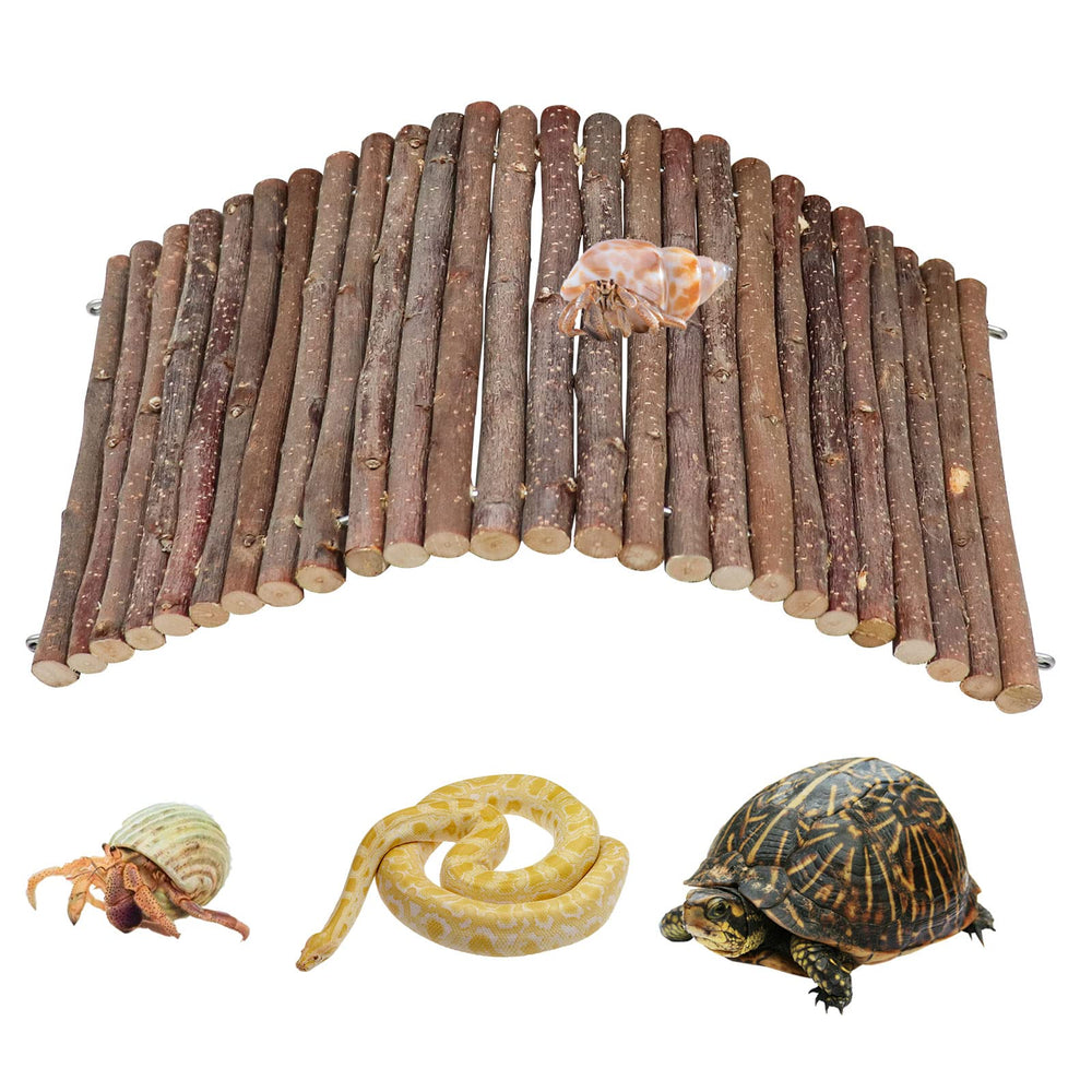 Dnoifne hermit crab wooden bridge enhances enrichment and climbing play.