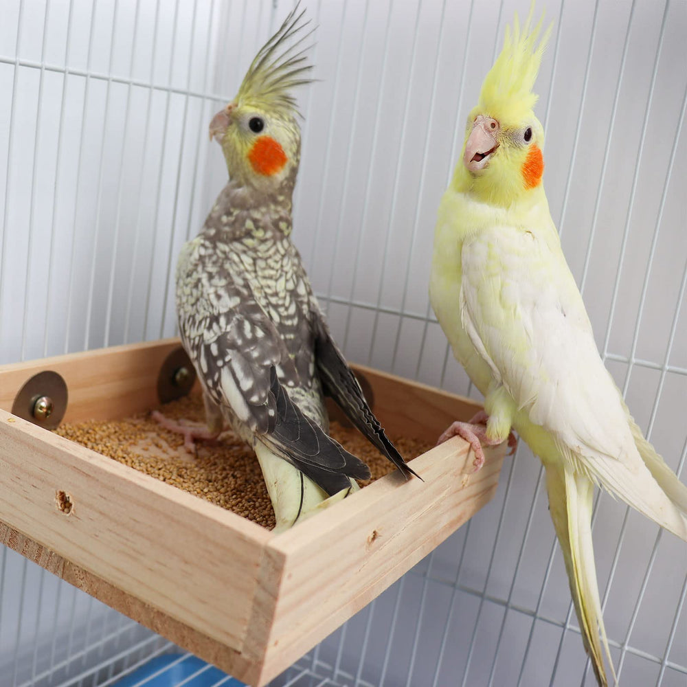 Dnoifne natural pine feeder bowl offers durable, non-toxic feeding in cages.