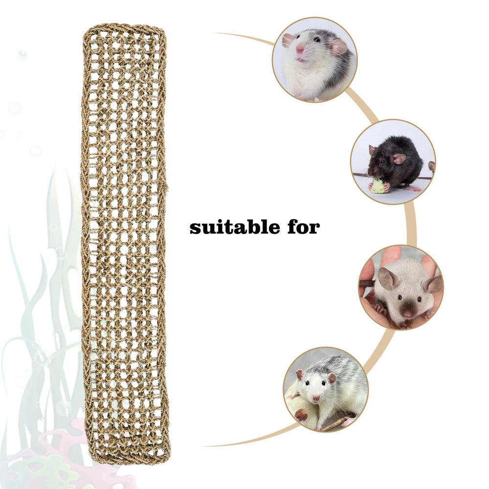 Dnoifne natural seagrass material supports safe chewing and durability.