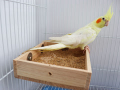 Dnoifne parrot perch stand and feeding dish supports multiple birds.