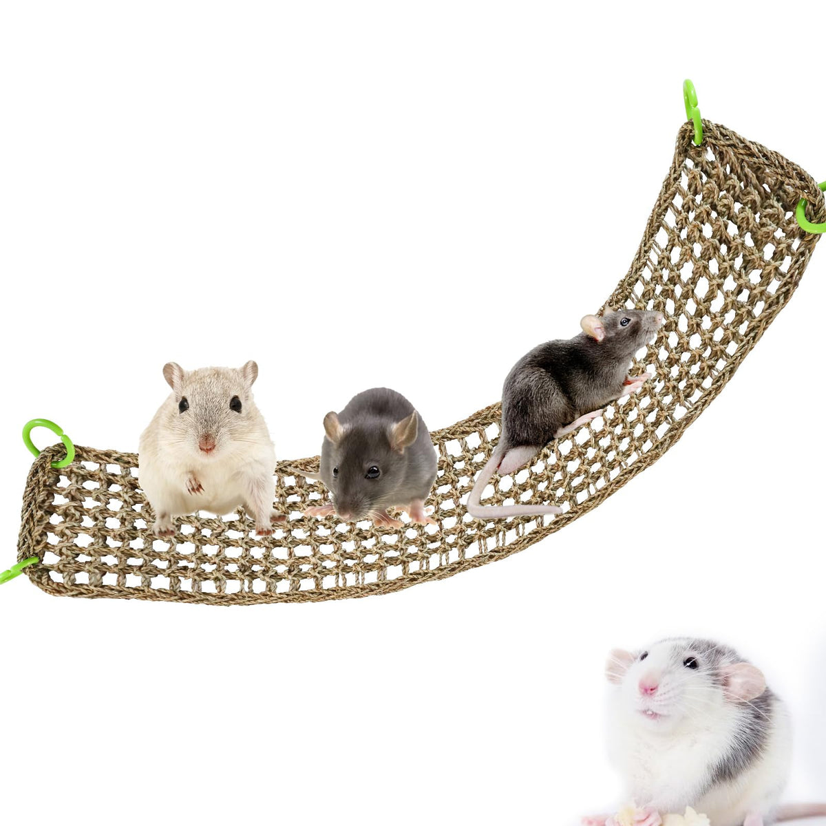 Dnoifne rat climbing mat hammock in seagrass provides a roomy perch for small pets.