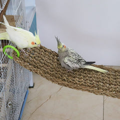Dnoifne seagrass mat installation hooks enable flexible cage setups