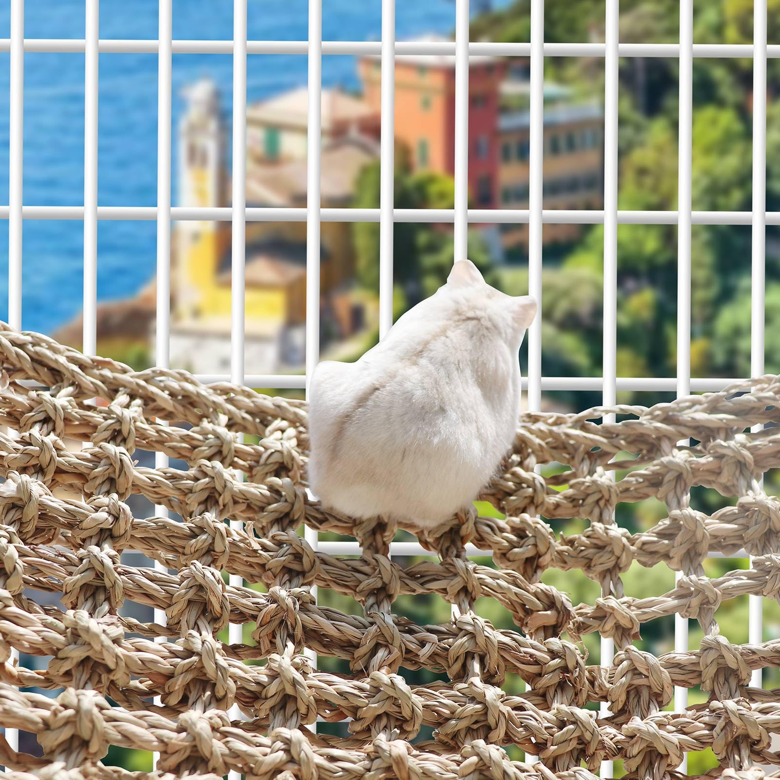 Dnoifne seagrass mat perches for small animals, encouraging play and exploration in cages.