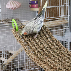Dnoifne seagrass mat seaweed weave provides soft, bite-resistant material for beak-friendly chewing