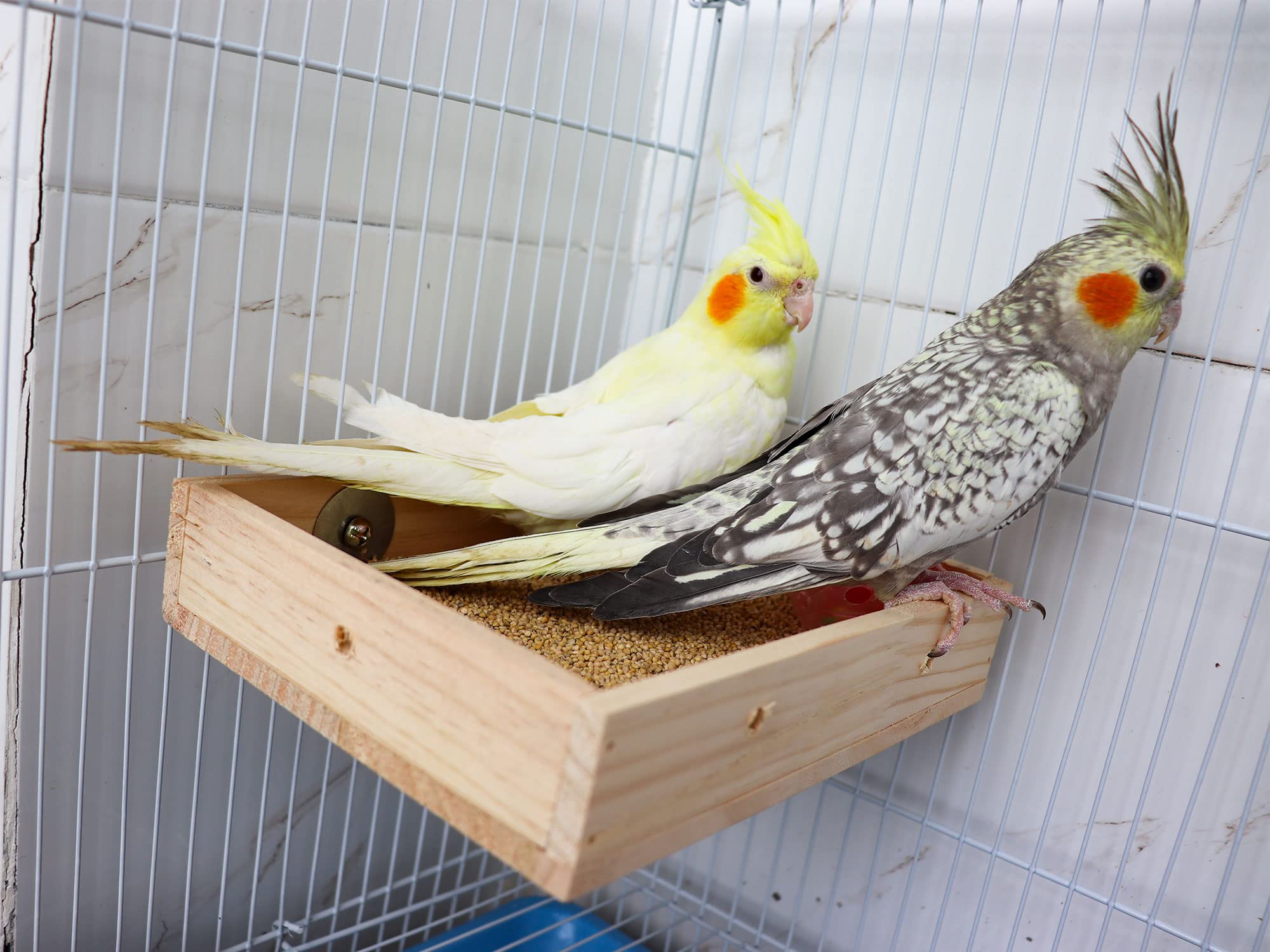 Dnoifne small animal cage accessory for snack time and play.