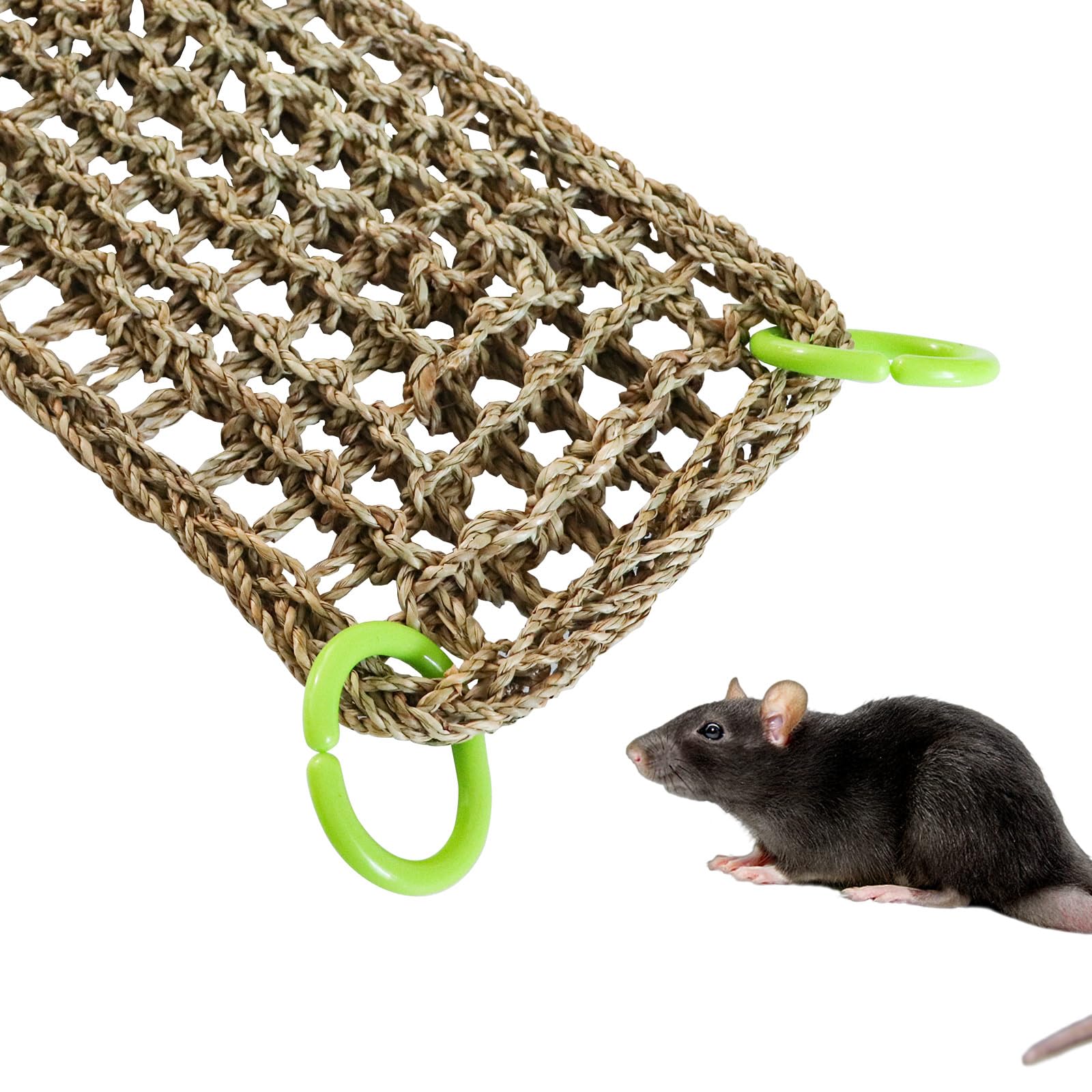 Dnoifne vertical hammock setup doubles as a bird ladder for climbing.