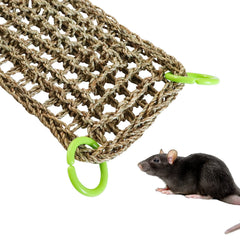 Dnoifne vertical hammock setup doubles as a bird ladder for climbing.