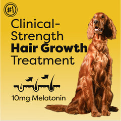 Doc Itchy hair-growth dog chews closeup suggests thicker fur and reduced shedding