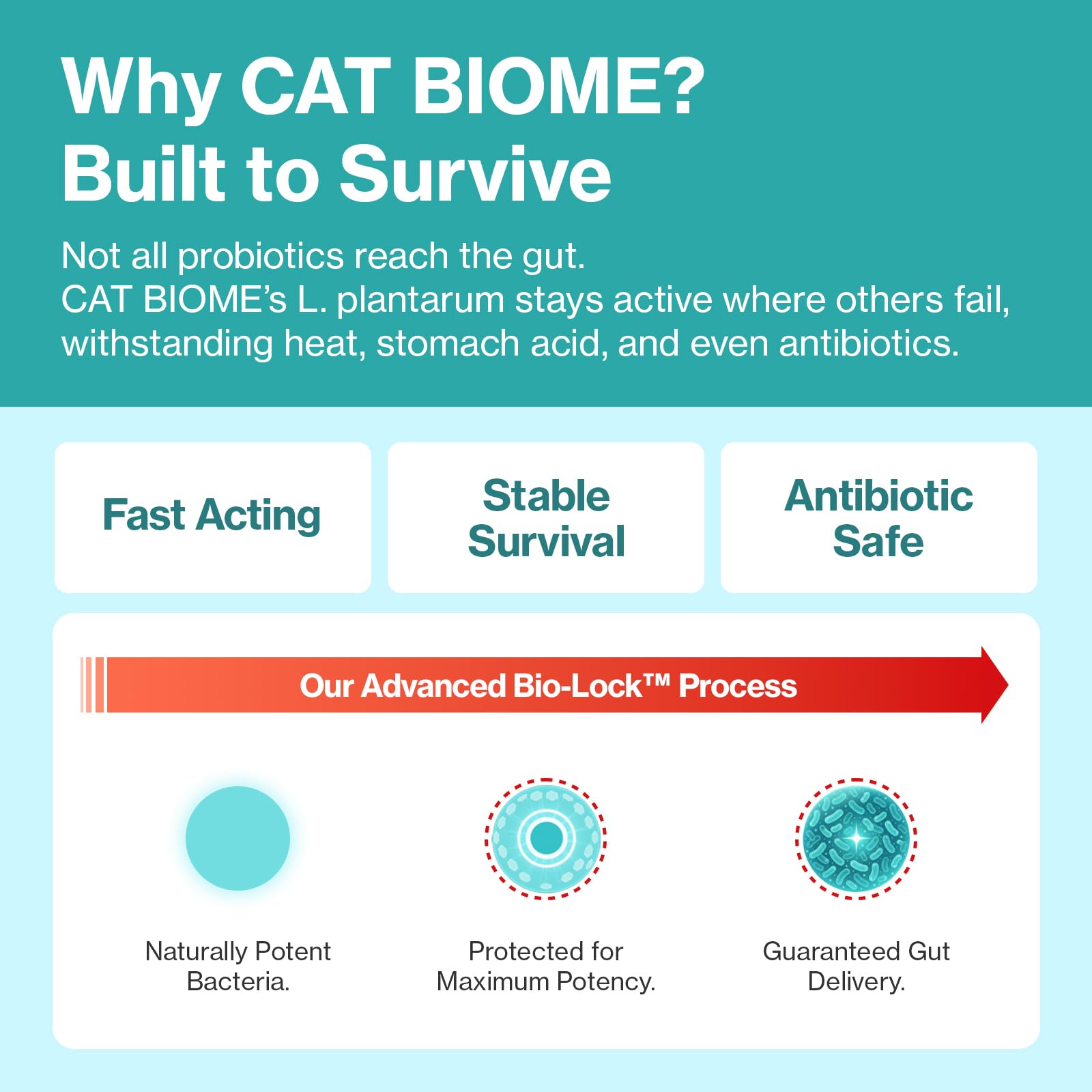 Doctor By Cat Biome supports immune health with a stable formula.