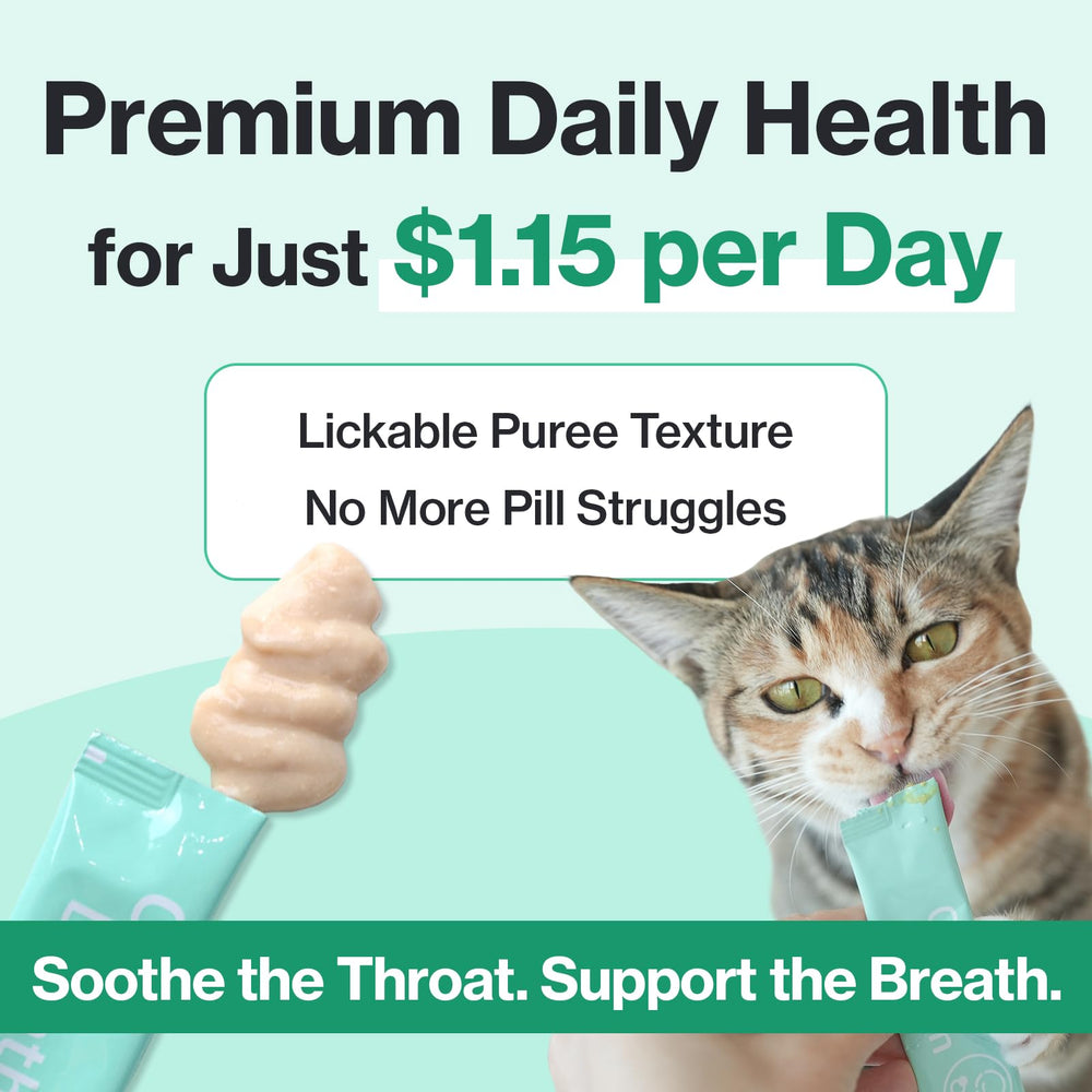 Doctor By Cat Breath supports respiratory comfort amid household environmental stressors.