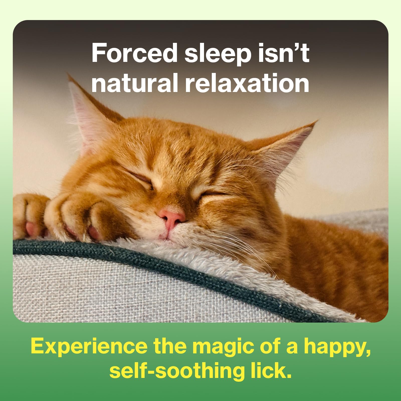 Lactium ingredient highlighted in Doctor By Cat Calming for gentle tension relief.