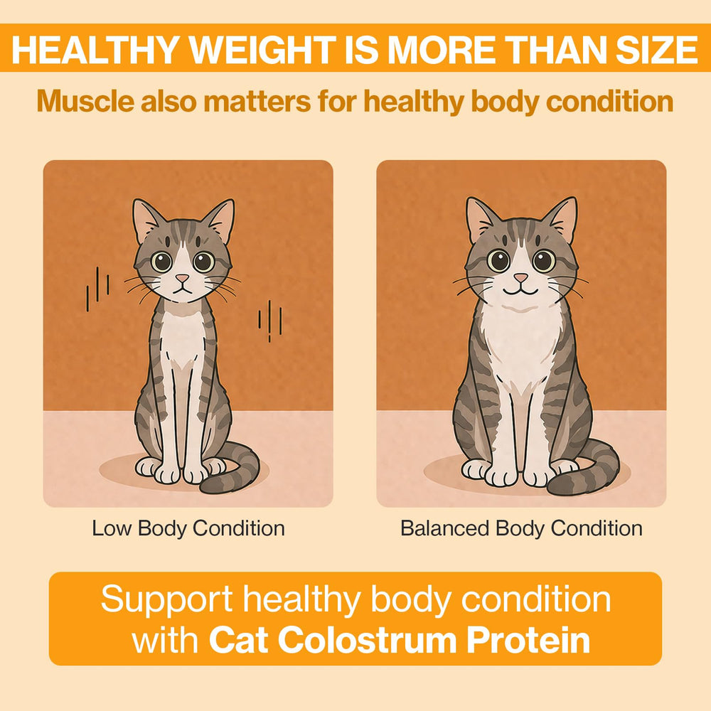 Doctor By Cat Colostrum Protein aids senior cat lean maintenance