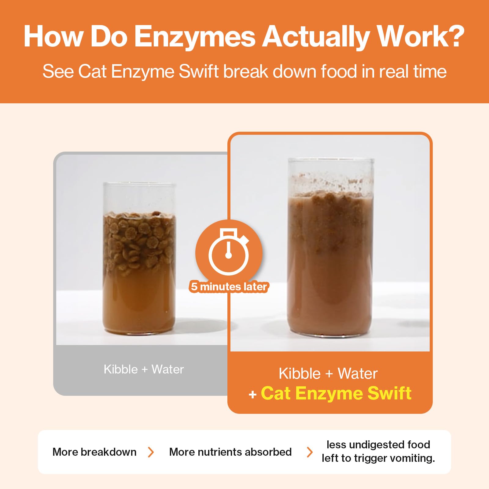 Doctor By Cat Enzyme Swift bromelain and papain for gentle protein breakdown