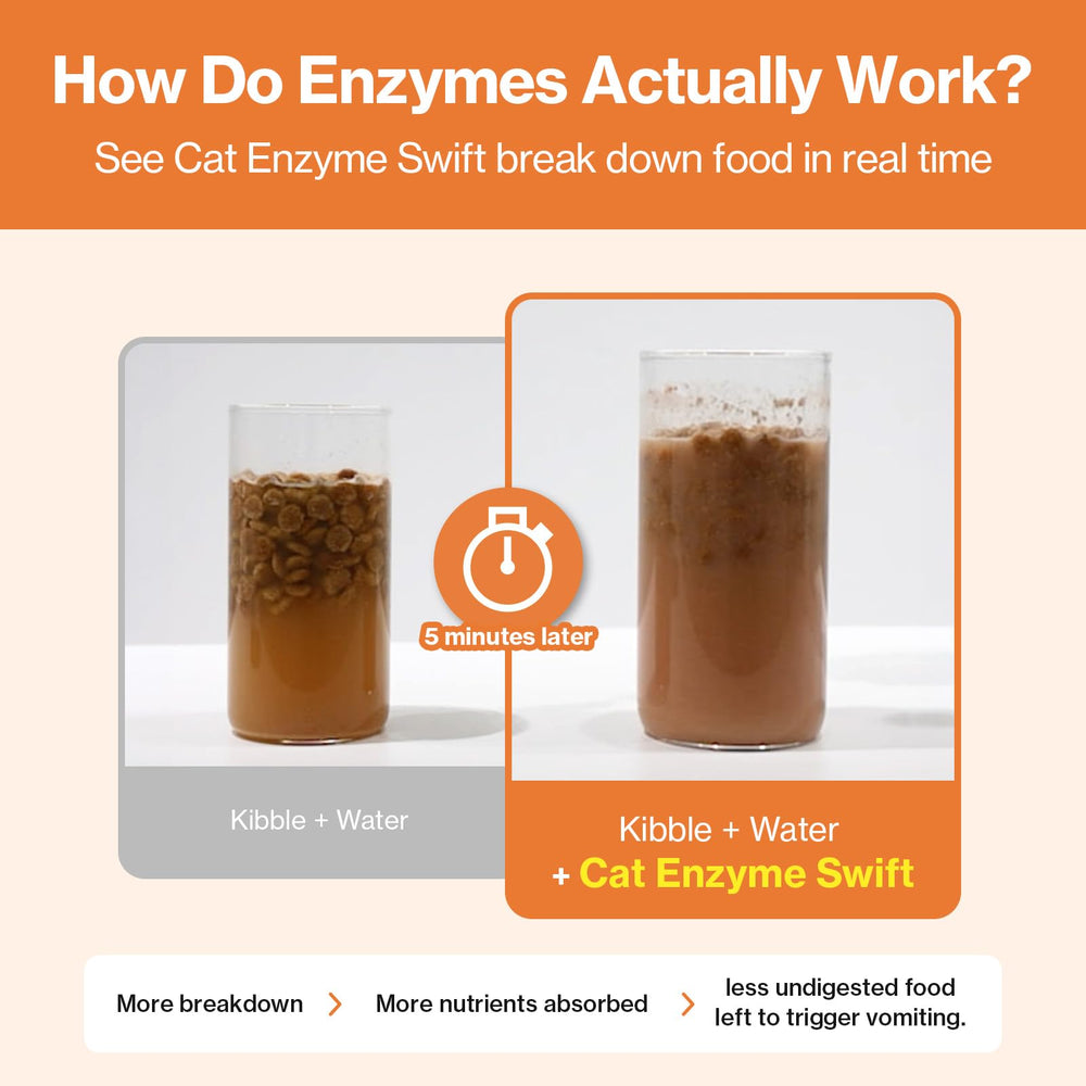 Doctor By Cat Enzyme Swift bromelain and papain for gentle protein breakdown