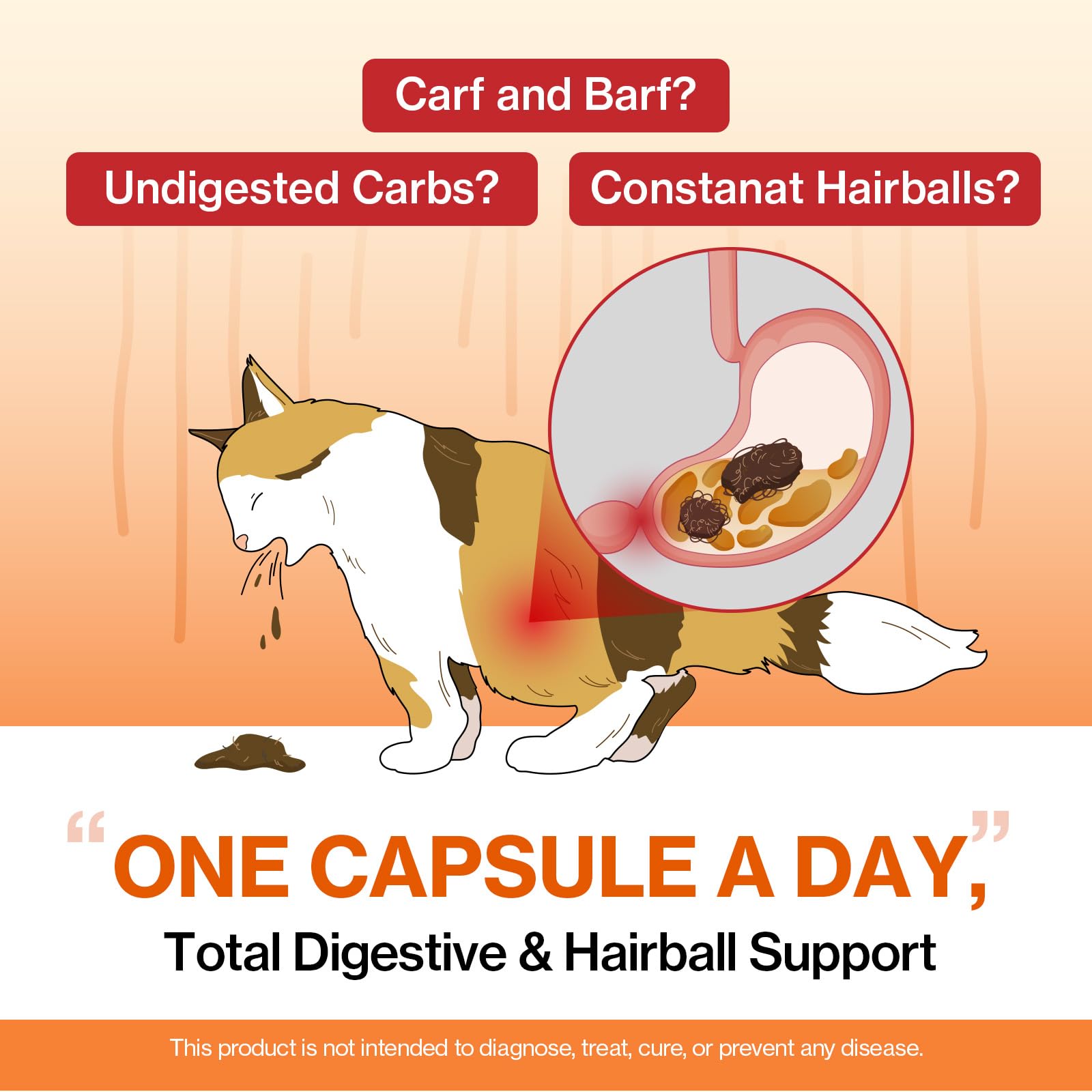 Doctor By Cat Enzyme Swift capsules ready to swallow or sprinkle onto meals