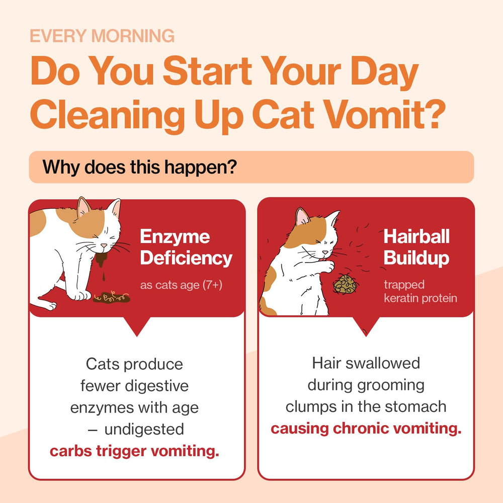 Doctor By Cat Enzyme Swift food topping helps ease picky eaters