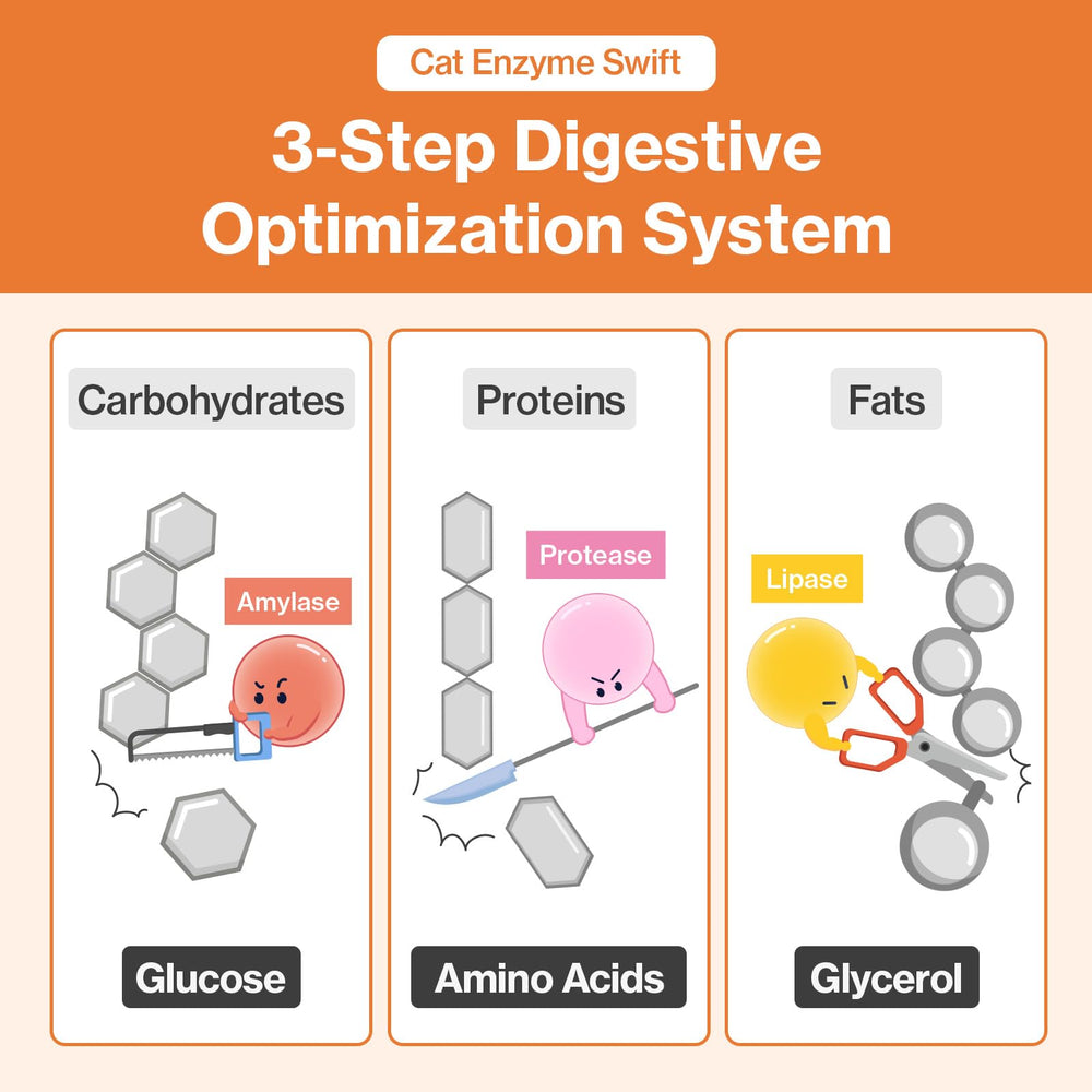Doctor By Cat Enzyme Swift in house quality checks ensure consistency